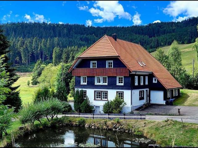 Haus kaufen in Schluchsee, Baden-Württemberg
