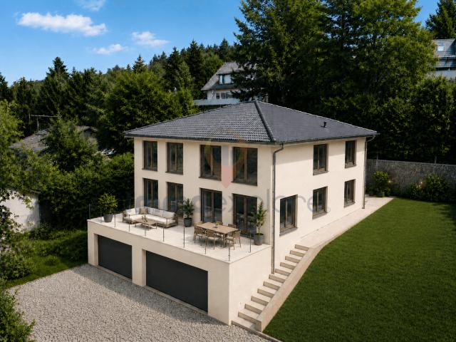 Haus kaufen in Schmitten