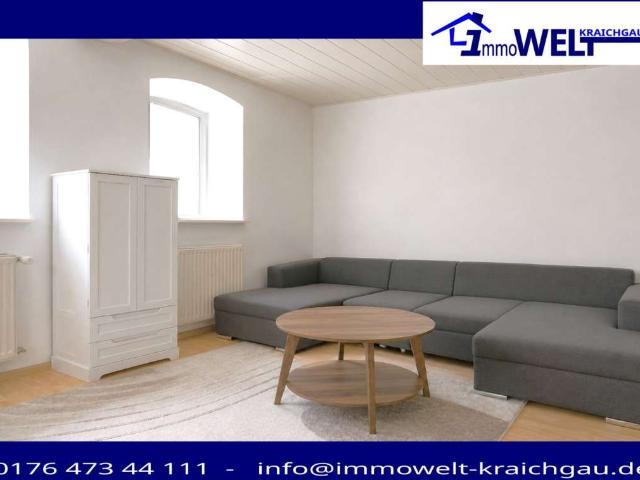 Haus kaufen in Sinsheim