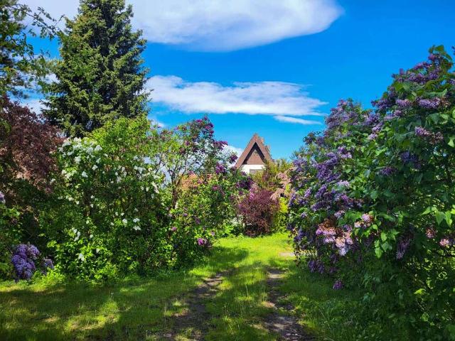 Haus kaufen in Stahnsdorf