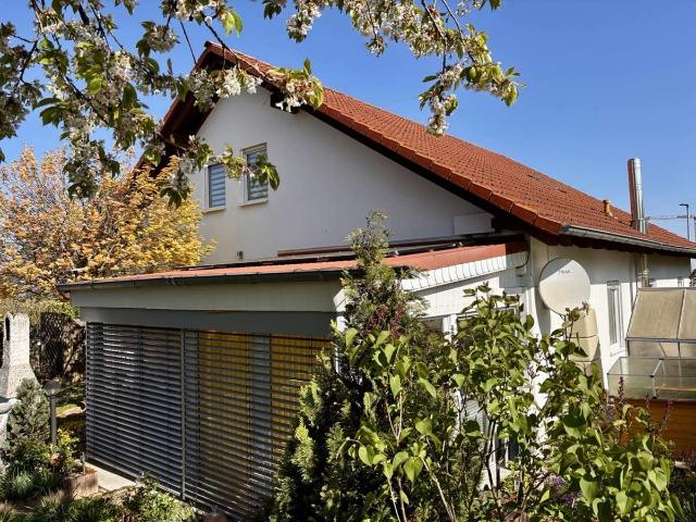 Haus kaufen in Stein-Bockenheim, Rheinland-Pfalz