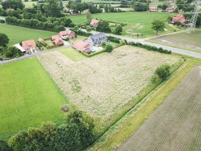 Haus kaufen in Steinfurt, Borghorst