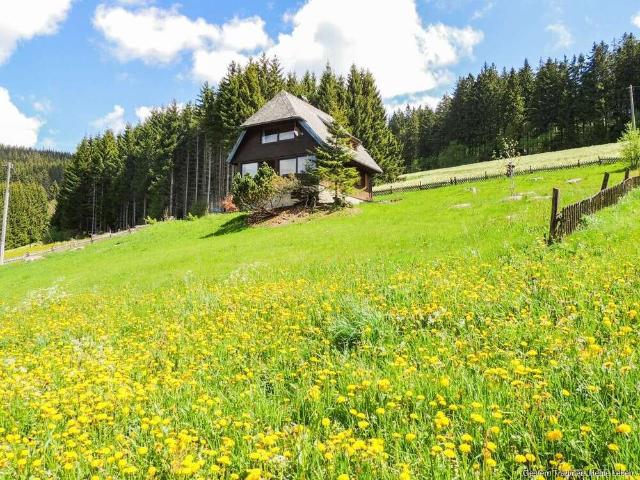 Haus kaufen in Titisee-Neustadt, Baden-Württemberg