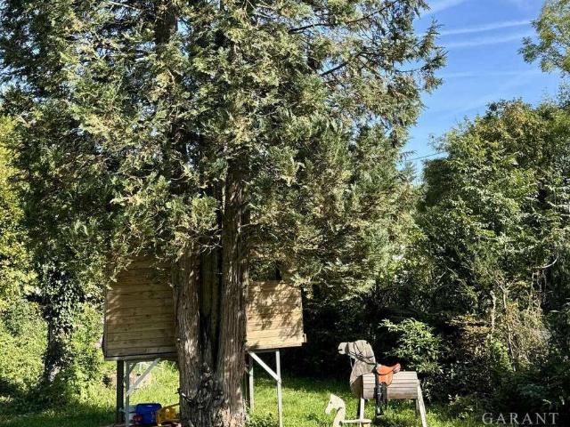 Haus kaufen in Vaihingen an der Enz