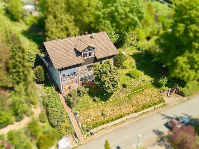 Haus kaufen in Wald-Michelbach, Hessen