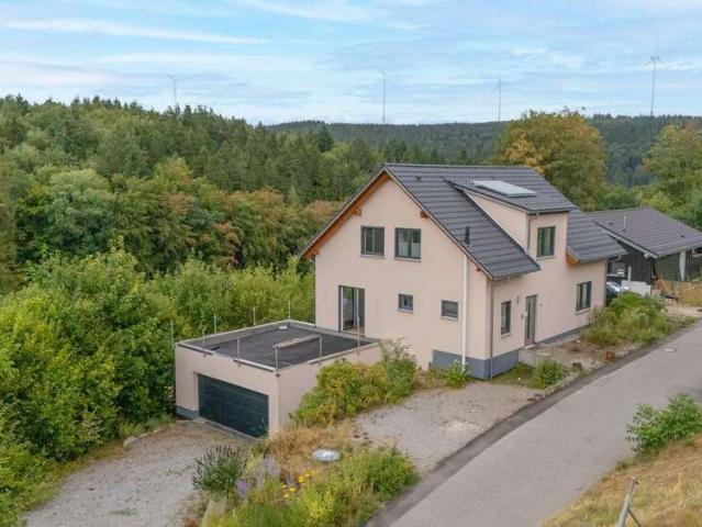 Haus kaufen in Wald-Michelbach, Hessen