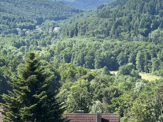 Haus kaufen in Waldbronn, Baden-Württemberg