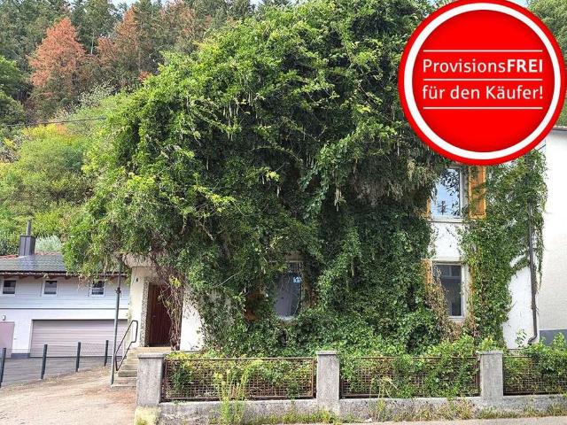 Haus kaufen in Waldkirch, Baden-Württemberg
