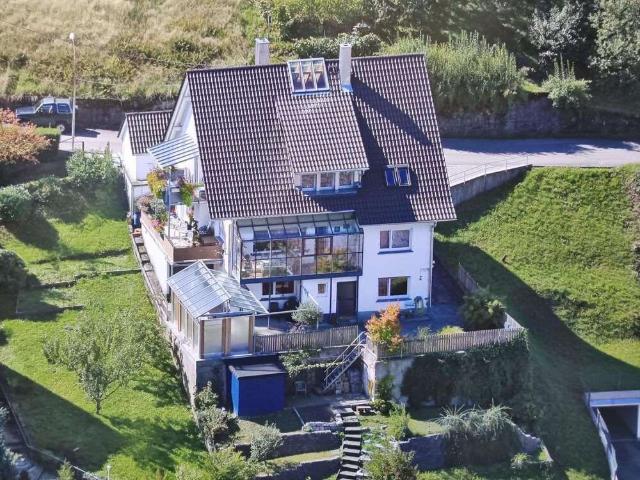 Haus kaufen in Weisenbach
