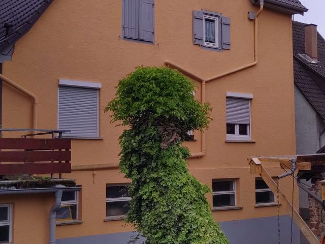 Haus kaufen in Rathausplatz, Weissach