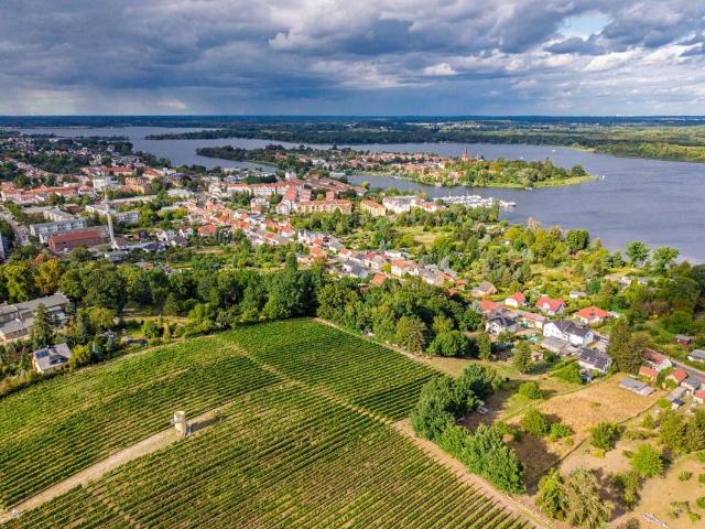 Haus kaufen in Werder, Brandenburg