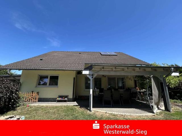 Haus kaufen in Frankenthal, Wissen