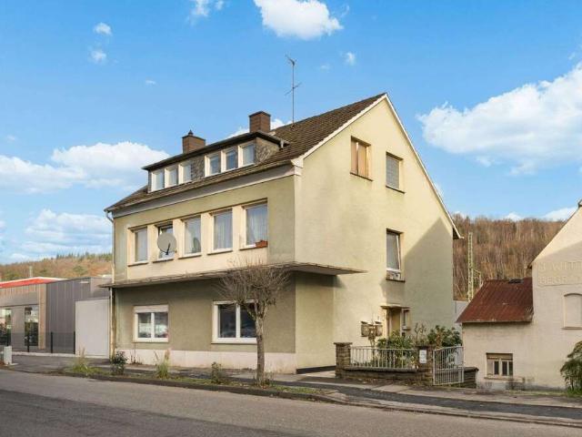 Haus kaufen in Frankenthal, Wissen