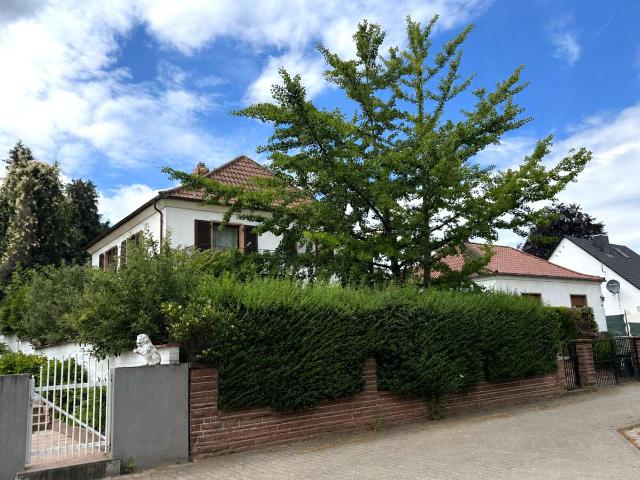 Haus kaufen in Worms, Rheinland-Pfalz