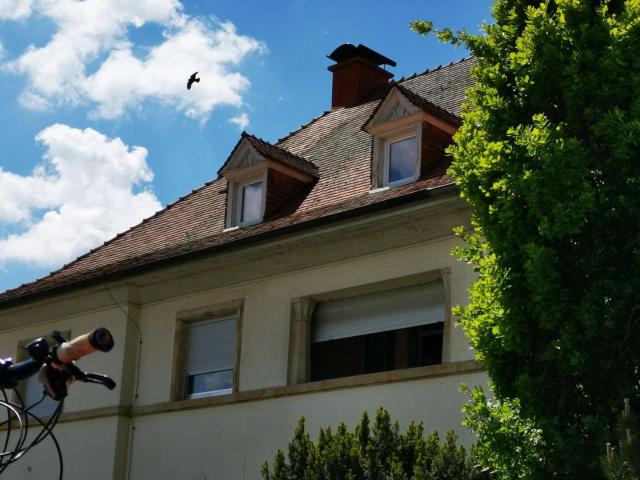 Haus kaufen in Wörrstadt, Rheinland-Pfalz