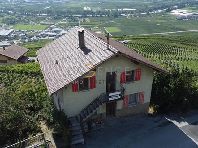 Einfamilienhaus kaufen in Dugny, Leytron, Wallis