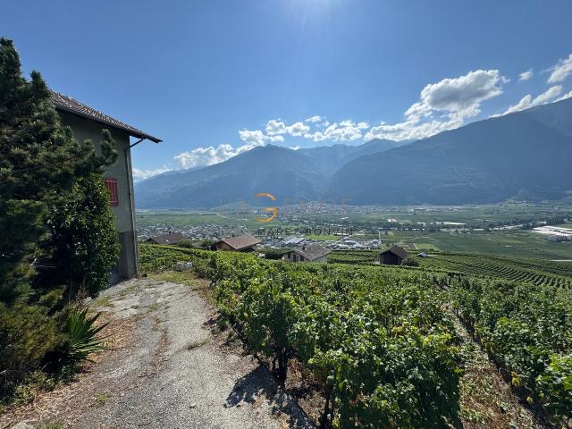 Reihenfamilienhaus kaufen in Dugny, Leytron, Wallis