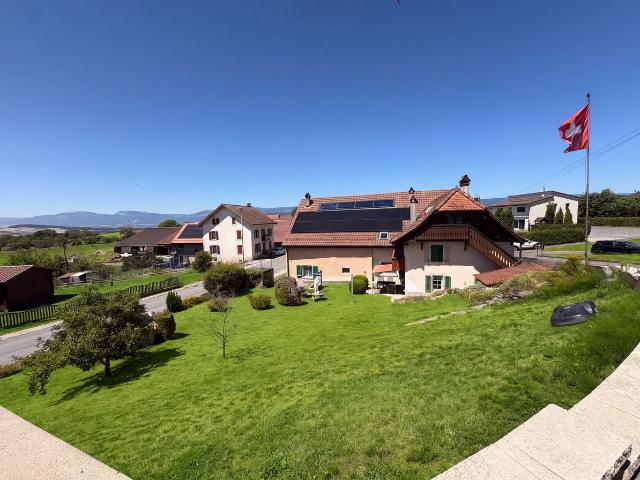 Haus kaufen in Yvonand, Waadt