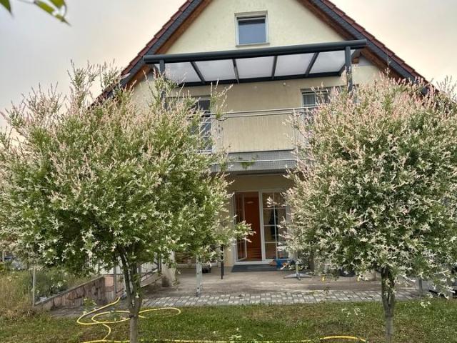 Haus kaufen in Wiesoppenheim, Worms