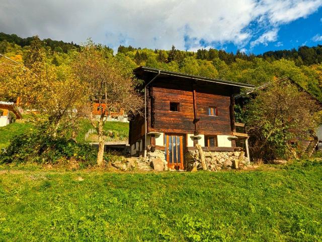 Haus kaufen in Fieschertal, Wallis