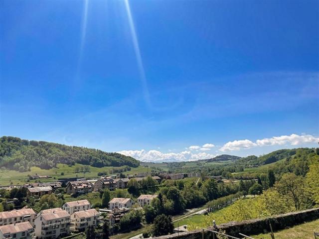 Einfamilienhaus kaufen in Moudon, Waadt