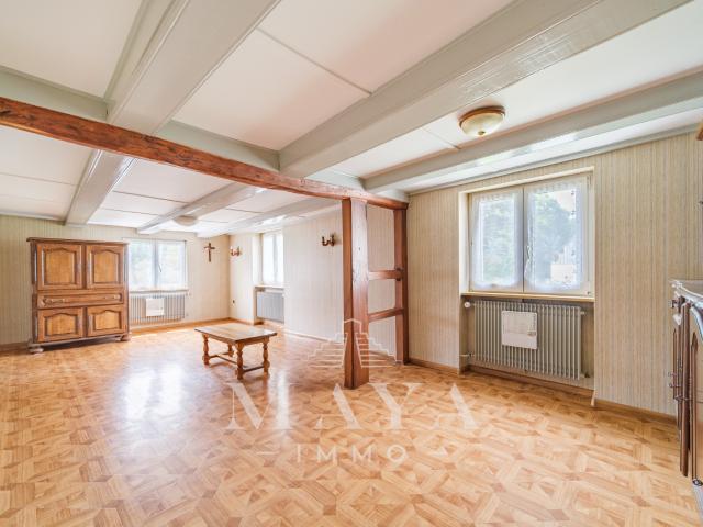 Maison vente à Altkirch, Hausgauen