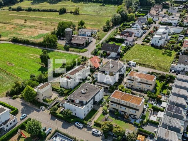 Immobilie kaufen in Wilental, Spreitenbach