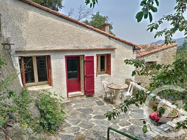 Maison vente à Céret, Montferrer