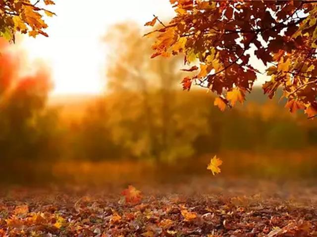 Terrain vente à France métropolitaine, Haute-goulaine