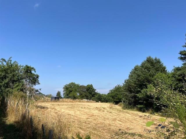 Terrain vente à Limoges, Châteauneuf-la-forêt
