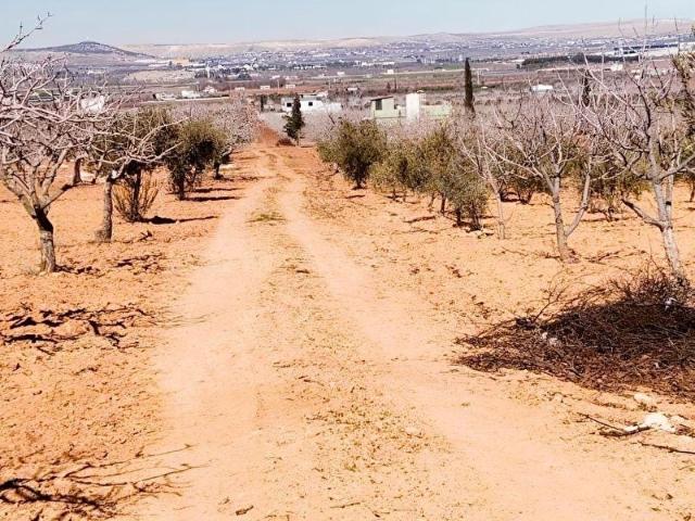 Altınyurt Mahallesi, Oğuzeli içerisinde satılık mülk