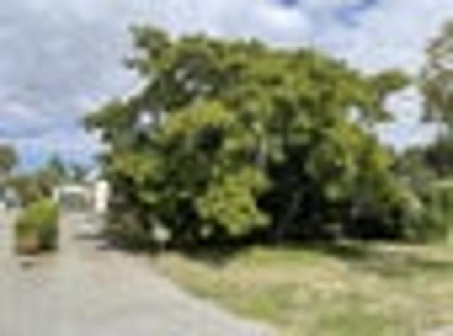 House for rent in Havelock North
