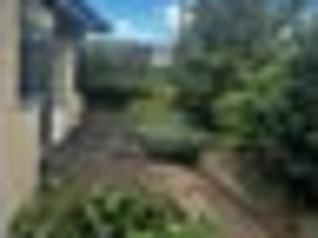 House for rent in Havelock North