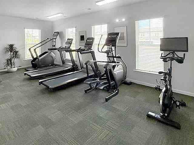 Apartment for rent in Savannah, Georgia