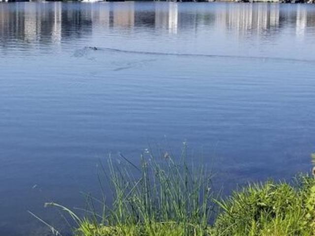 Land for sale in Fishers