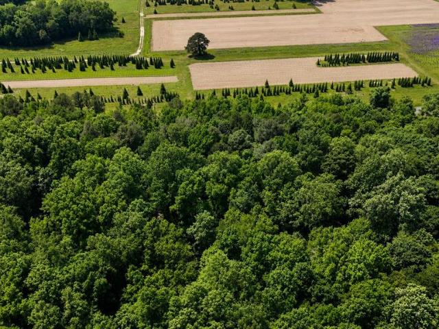 Land for sale in Preston, Maryland