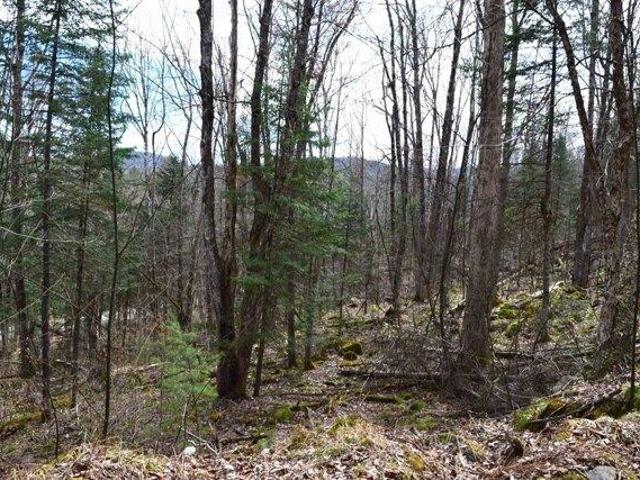 Land for sale in New Hampshire