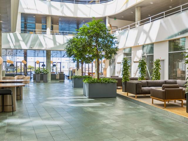 Erhvervsejendom til leje i Odense