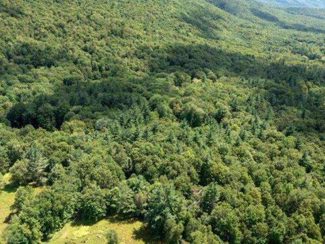 Land for sale in Bennington, Vermont