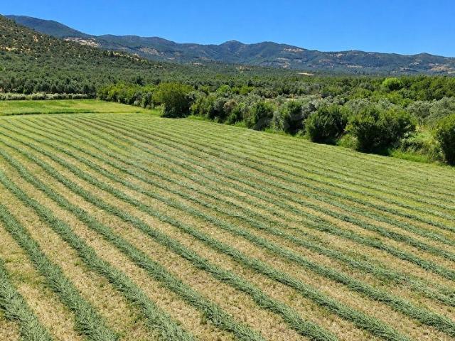 Burhaniye, Balikesir içerisinde satılık Arsa