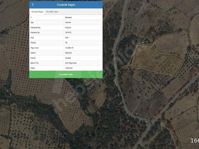 Tarlabaşı, Havran içerisinde satılık Arsa