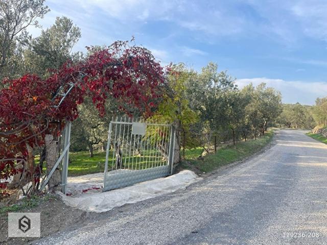 Havran, Balikesir içerisinde satılık mülk
