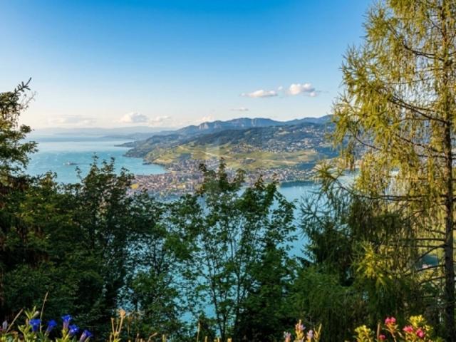 Haus mieten in Caux, Montreux