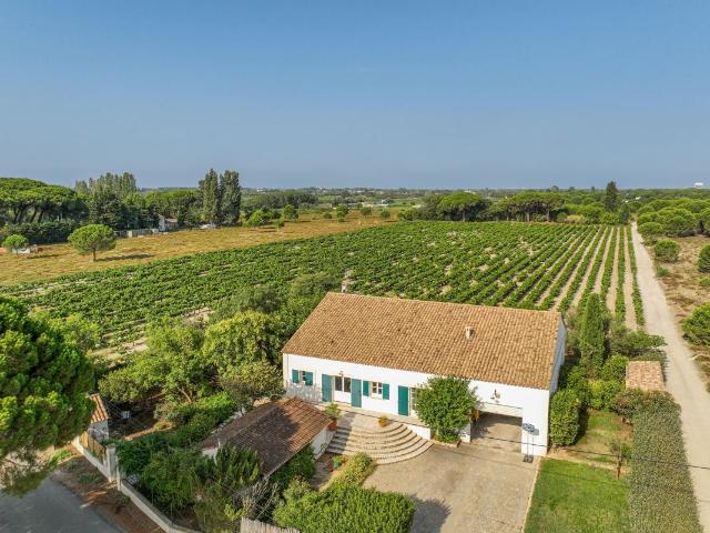 Ferme vente à Nîmes, Saint-laurent-d'aigouze