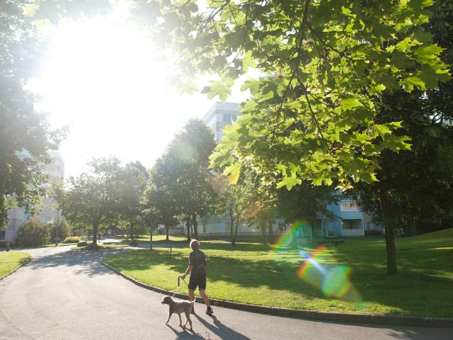 Lägenhet hyra i Jönköping
