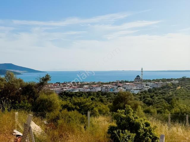 Didim, Aydin içerisinde satılık mülk