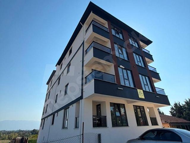 Düzce Merkez, Düzce içerisinde satılık mülk