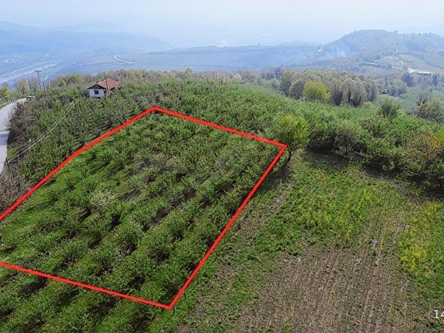 Düzce Merkez, Düzce içerisinde satılık Arsa
