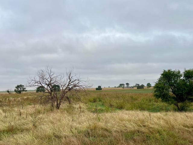 Land for sale in Anton, Texas