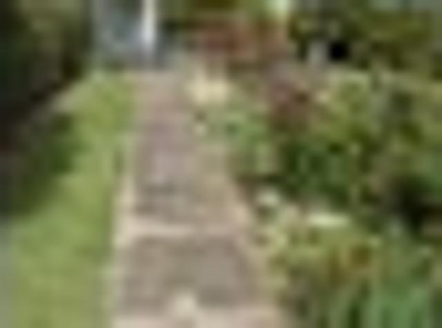 House for rent in Taranaki